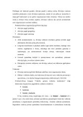 Organizacijų valdymo struktūrų raida. Linijinės, funkcinės ir matricinės jų komponentės 8 puslapis