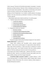 Organizacijų valdymo struktūrų raida. Linijinės, funkcinės ir matricinės jų komponentės 9 puslapis