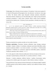 Šeimos, profesinės sėkmės bei asmens laisvės nuostatų tyrimas 3 puslapis