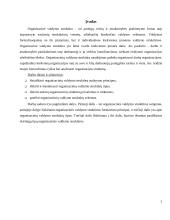 Organizacinė valdymo struktūra 2 puslapis