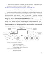Organizacinė valdymo struktūra 11 puslapis