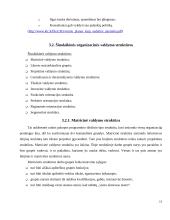 Organizacinė valdymo struktūra 12 puslapis