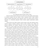 Organizacinė valdymo struktūra 13 puslapis