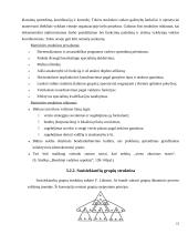 Organizacinė valdymo struktūra 14 puslapis