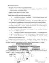 Organizacinė valdymo struktūra 18 puslapis