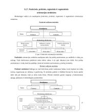 Organizacinė valdymo struktūra 20 puslapis