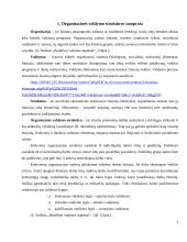 Organizacinė valdymo struktūra 3 puslapis