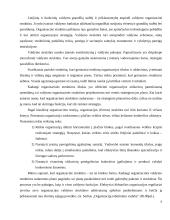 Organizacinė valdymo struktūra 5 puslapis