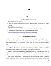 Organizacinė valdymo struktūra 7 puslapis