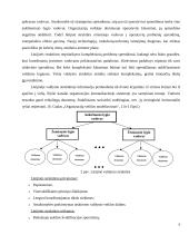 Organizacinė valdymo struktūra 8 puslapis
