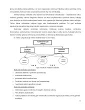 Organizacinė valdymo struktūra 10 puslapis