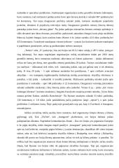 „Ryanair“ organizacijos išorinės ir vidinės komunikacijos tobulinimas 13 puslapis