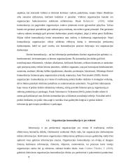 „Ryanair“ organizacijos išorinės ir vidinės komunikacijos tobulinimas 7 puslapis