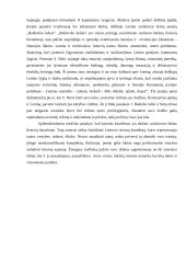 Istorinis kontekstas lietuvių rašytojų kūryboje 3 puslapis