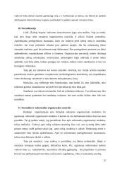 Organizacinės valdymo struktūros charakteristikų analizė: UAB "Žydroji liepsna" 11 puslapis