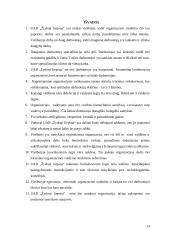 Organizacinės valdymo struktūros charakteristikų analizė: UAB "Žydroji liepsna" 13 puslapis