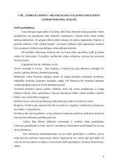 Organizacinės valdymo struktūros charakteristikų analizė: UAB "Žydroji liepsna" 3 puslapis