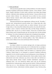 Organizacinės valdymo struktūros charakteristikų analizė: UAB "Žydroji liepsna" 5 puslapis
