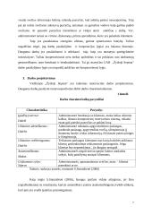 Organizacinės valdymo struktūros charakteristikų analizė: UAB "Žydroji liepsna" 6 puslapis