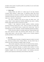 Organizacinės valdymo struktūros charakteristikų analizė: UAB "Žydroji liepsna" 8 puslapis