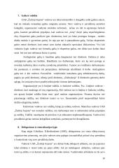 Organizacinės valdymo struktūros charakteristikų analizė: UAB "Žydroji liepsna" 9 puslapis