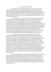 Istorijos atspindžiai literatūroje