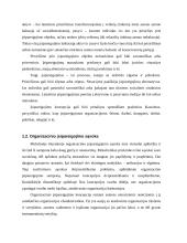 Organizacinis įsipareigojimas 3 puslapis