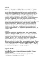 Alberas Kamiu - biografija, kūryba 2 puslapis