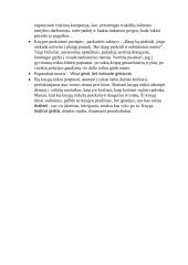 Knygos pristatymas  ,,Ateina šuo” 2 puslapis