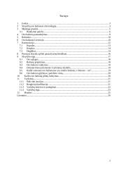 Oro balionai 2 puslapis