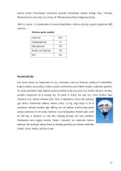 Oro balionai 12 puslapis