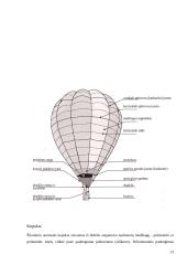 Oro balionai 13 puslapis