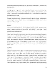 Oro balionai 14 puslapis