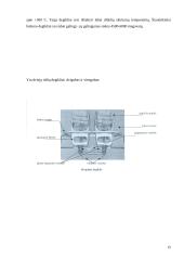 Oro balionai 15 puslapis