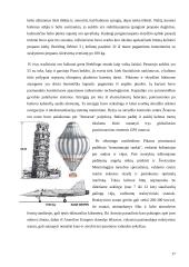 Oro balionai 17 puslapis