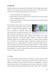 Oro balionai 18 puslapis