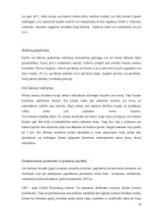 Oro balionai 19 puslapis