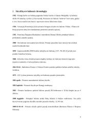 Oro balionai 4 puslapis