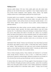 Oro balionai 5 puslapis