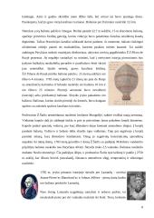 Oro balionai 8 puslapis