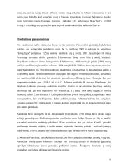 Oro balionai 9 puslapis