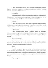 Lietuvos startuoliai 2 puslapis