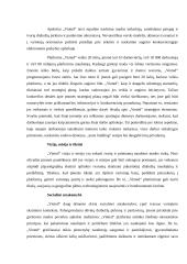 Lietuvos startuoliai 4 puslapis