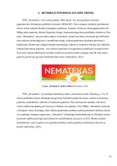 Įmonės „Nematekas“ karštai rūkytos vištienos krūtinėlės logistinės grandinės analizė 14 puslapis