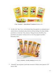 Įmonės „Nematekas“ karštai rūkytos vištienos krūtinėlės logistinės grandinės analizė 16 puslapis