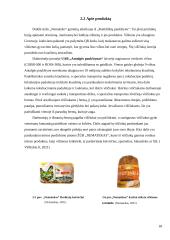 Įmonės „Nematekas“ karštai rūkytos vištienos krūtinėlės logistinės grandinės analizė 17 puslapis