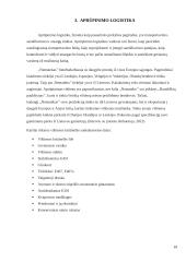 Įmonės „Nematekas“ karštai rūkytos vištienos krūtinėlės logistinės grandinės analizė 18 puslapis