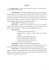 Įmonės „Nematekas“ karštai rūkytos vištienos krūtinėlės logistinės grandinės analizė 4 puslapis