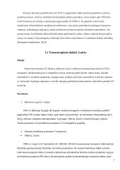 Įmonės „Nematekas“ karštai rūkytos vištienos krūtinėlės logistinės grandinės analizė 6 puslapis