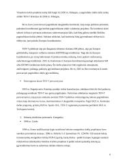 Įmonės „Nematekas“ karštai rūkytos vištienos krūtinėlės logistinės grandinės analizė 8 puslapis